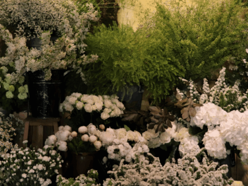 Bohème Fleurs